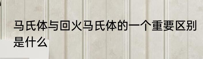 马氏体与回火马氏体的一个重要区别是什么