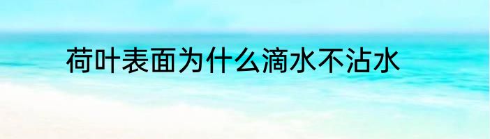 荷叶表面为什么滴水不沾水