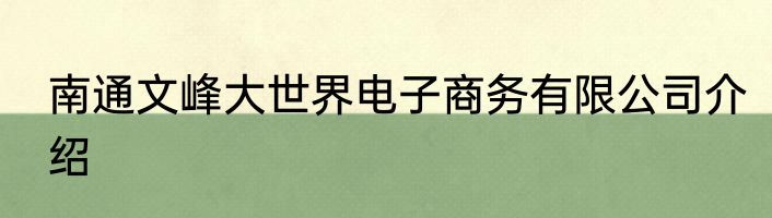 南通文峰大世界电子商务有限公司介绍