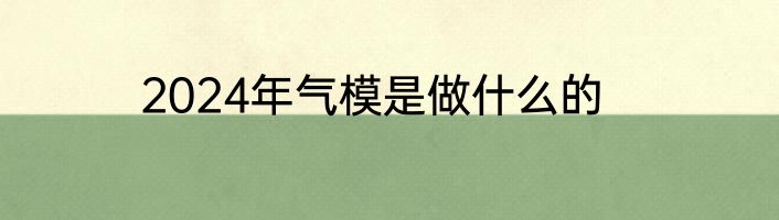 2024年气模是做什么的