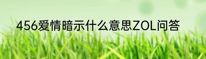 456爱情暗示什么意思ZOL问答