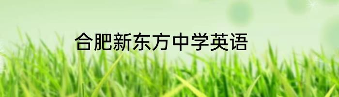 合肥新东方中学英语