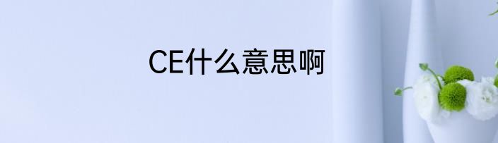 CE什么意思啊
