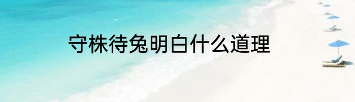 守株待兔明白什么道理