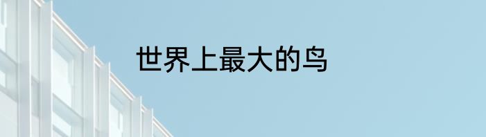 世界上最大的鸟