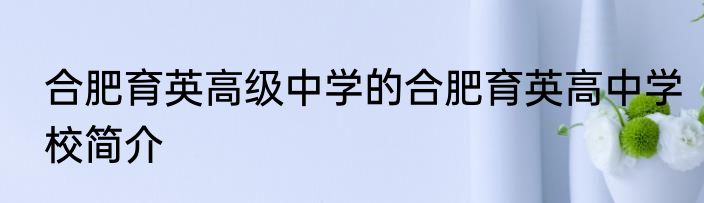 合肥育英高级中学的合肥育英高中学校简介