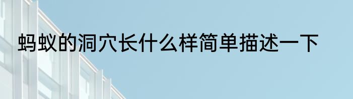 蚂蚁的洞穴长什么样简单描述一下