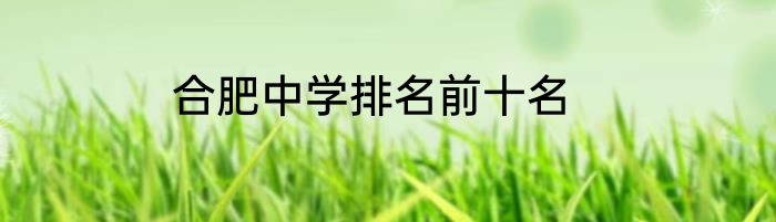 合肥中学排名前十名
