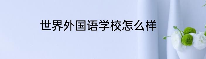 世界外国语学校怎么样