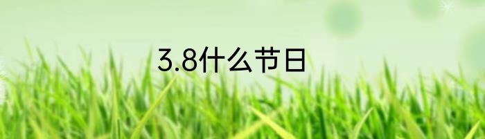 3.8什么节日
