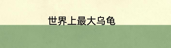 世界上最大乌龟