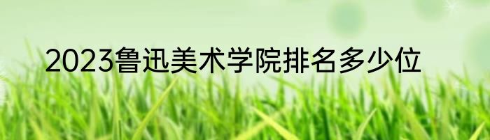 2023鲁迅美术学院排名多少位