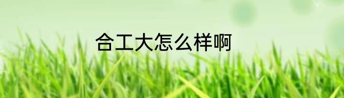 合工大怎么样啊