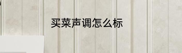 买菜声调怎么标