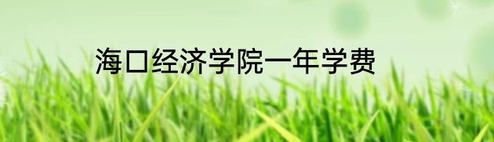 海口经济学院一年学费