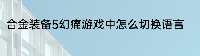合金装备5幻痛游戏中怎么切换语言