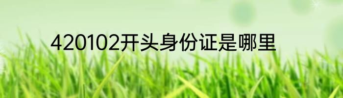 420102开头身份证是哪里