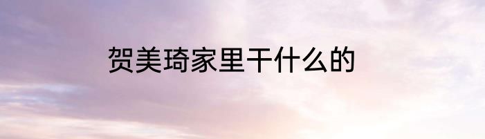 贺美琦家里干什么的