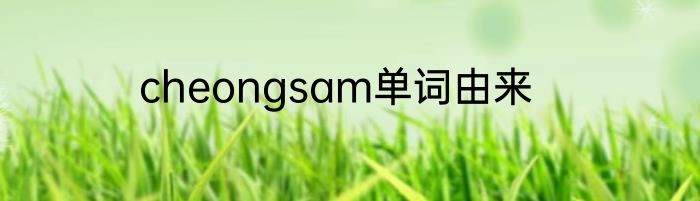 cheongsam单词由来