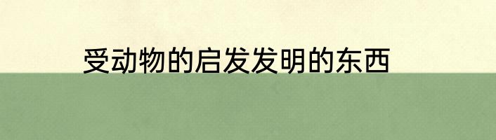 受动物的启发发明的东西