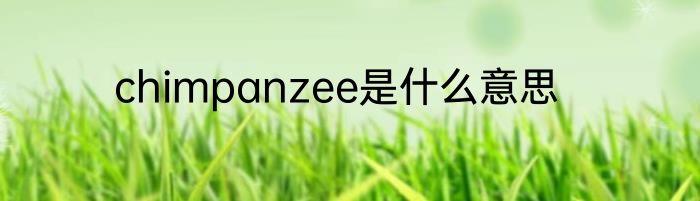 chimpanzee是什么意思
