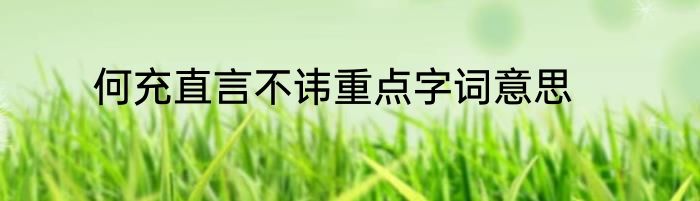 何充直言不讳重点字词意思