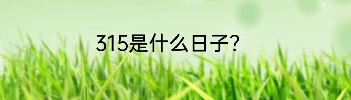 315是什么日子?