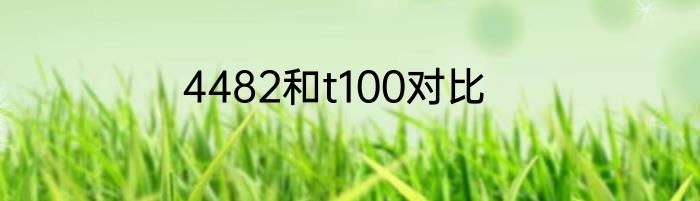 4482和t100对比