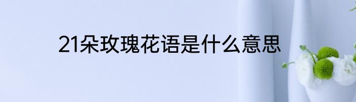 21朵玫瑰花语是什么意思