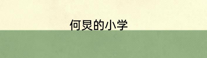 何炅的小学