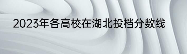 2023年各高校在湖北投档分数线