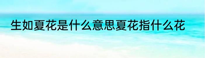 生如夏花是什么意思夏花指什么花