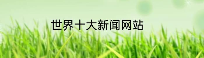 世界十大新闻网站
