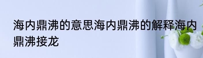 海内鼎沸的意思海内鼎沸的解释海内鼎沸接龙