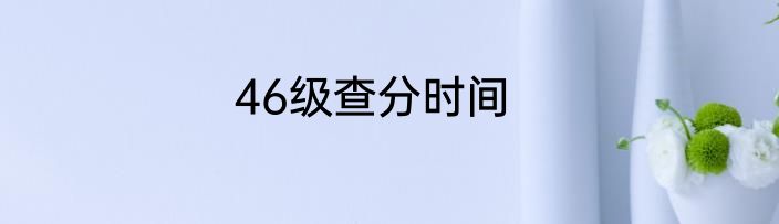 46级查分时间
