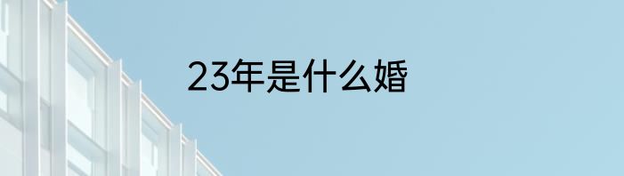 23年是什么婚
