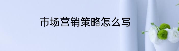 市场营销策略怎么写