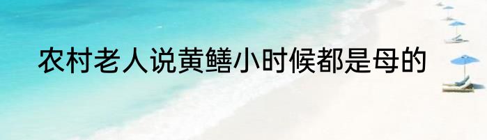 农村老人说黄鳝小时候都是母的