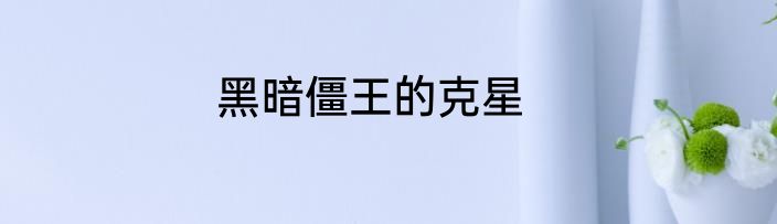 黑暗僵王的克星