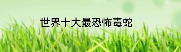 世界十大最恐怖毒蛇