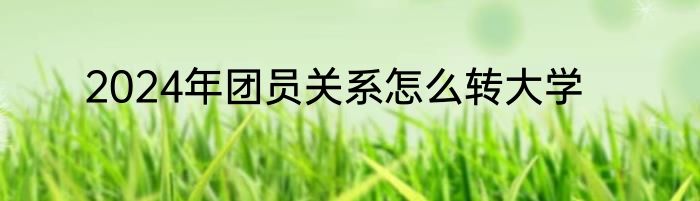 2024年团员关系怎么转大学