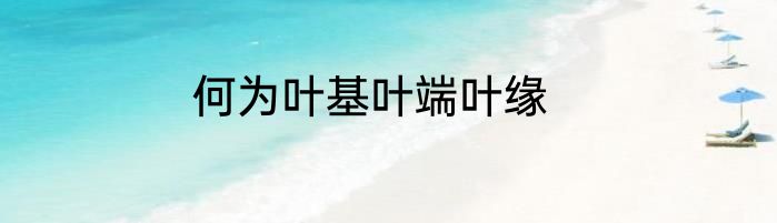 何为叶基叶端叶缘