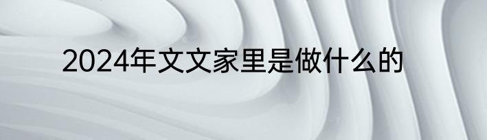 2024年文文家里是做什么的