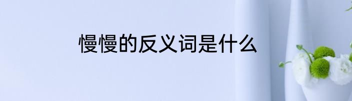 慢慢的反义词是什么