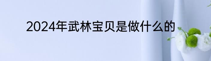 2024年武林宝贝是做什么的