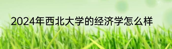 2024年西北大学的经济学怎么样