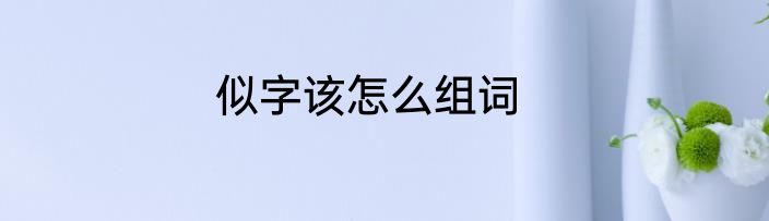 似字该怎么组词
