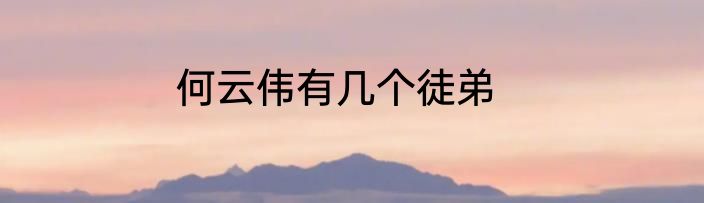 何云伟有几个徒弟