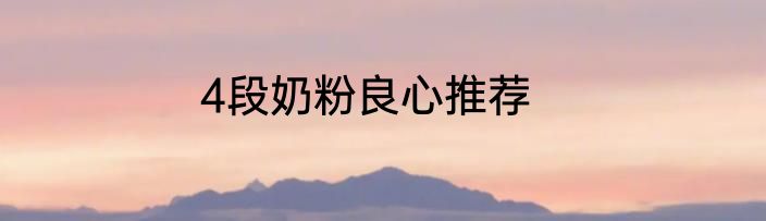 4段奶粉良心推荐