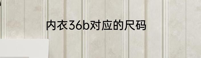 内衣36b对应的尺码